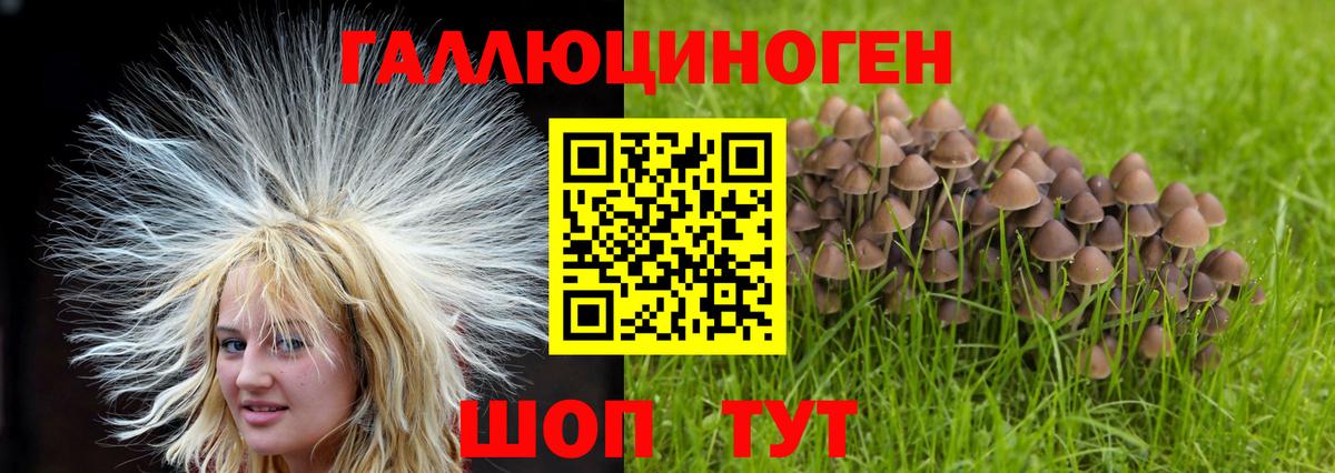 Карпинск  Псилоцибиновые грибы прущие грибы  Галлюциногенные грибы мухоморы  Вход с VPN 